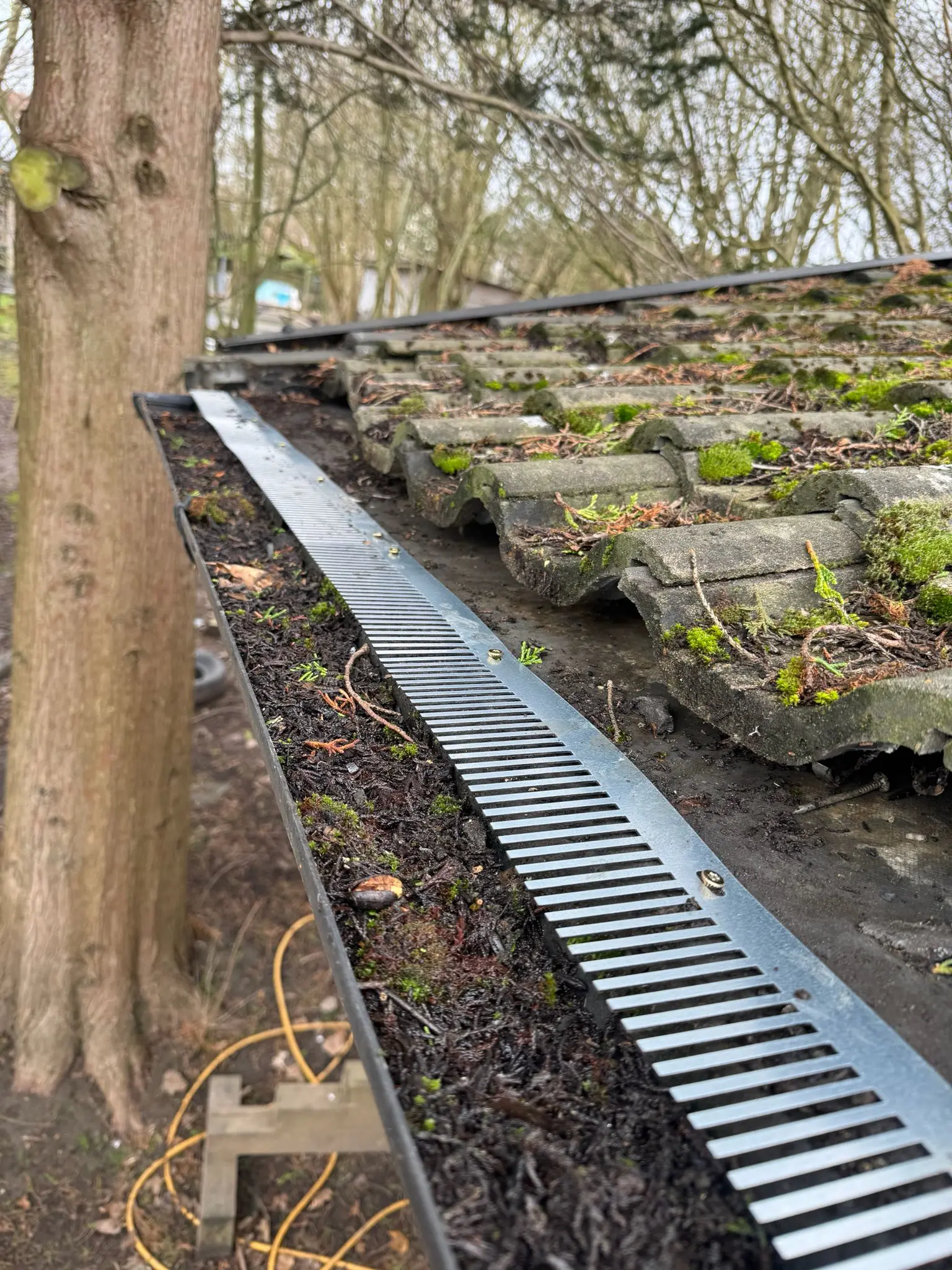 Apex Pest Control bird proofing comb strip guard installed along gutter to stop birds nesting on wide ledge guttering